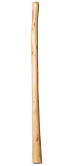 Natural Finish Didgeridoo (TW714)